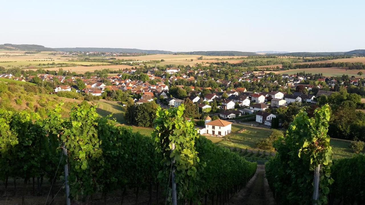 Haus Mit Seele Im Nahetal Weinsheim  Esterno foto