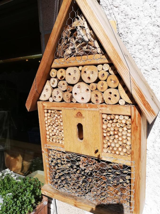 Haus Mit Seele Im Nahetal Weinsheim  Esterno foto