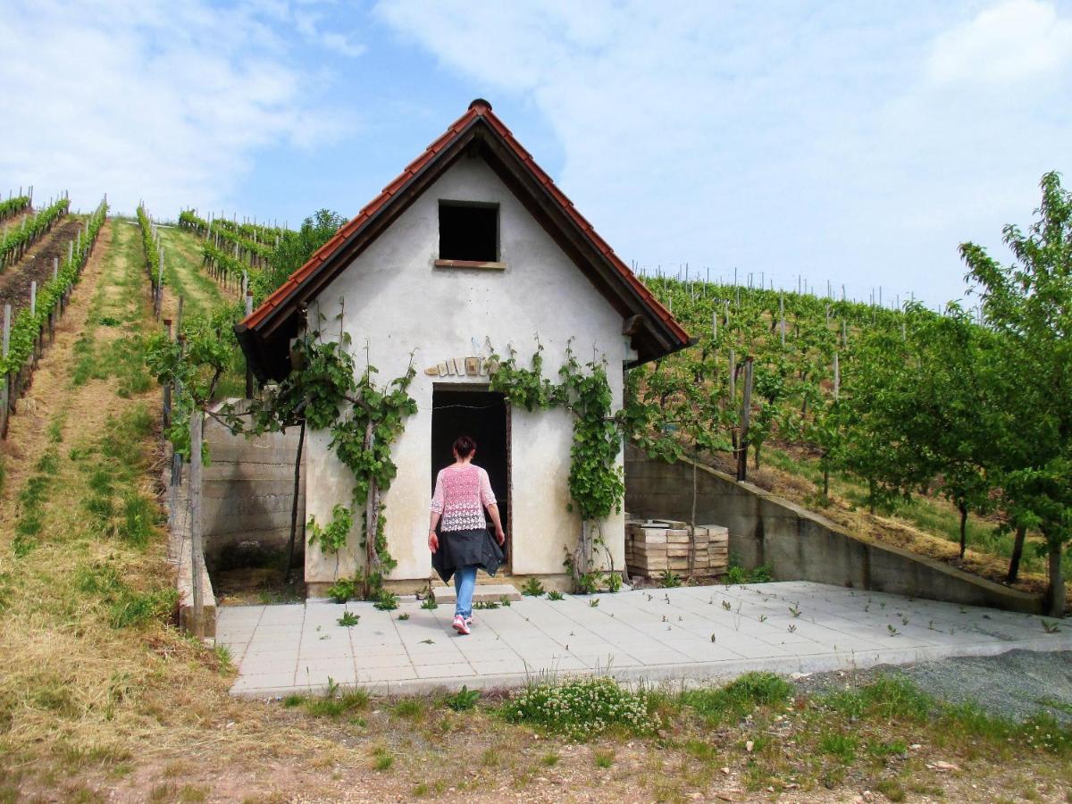Haus Mit Seele Im Nahetal Weinsheim  Esterno foto