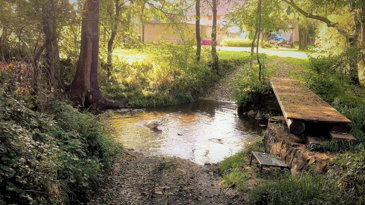 Haus Mit Seele Im Nahetal Weinsheim  Esterno foto